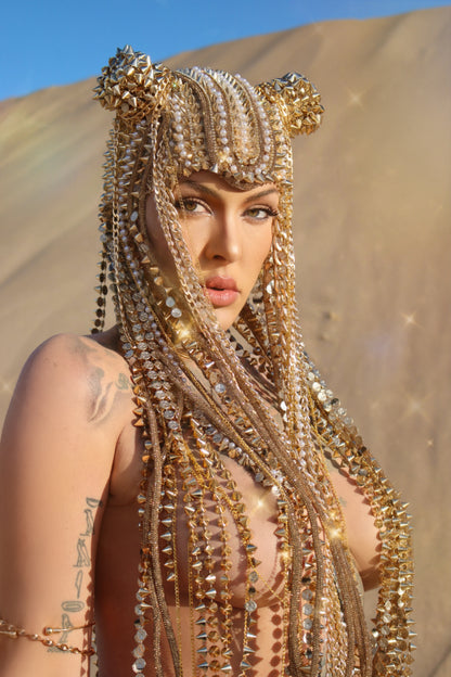 ARIES WIG